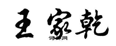 胡问遂王家乾行书个性签名怎么写