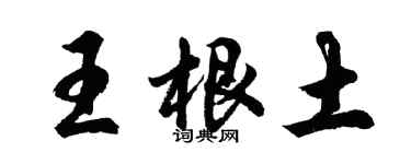 胡问遂王根土行书个性签名怎么写