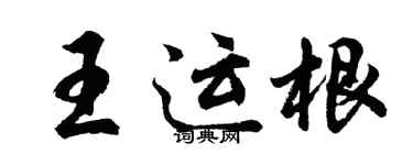 胡问遂王运根行书个性签名怎么写