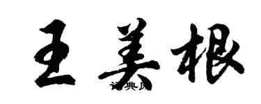 胡问遂王美根行书个性签名怎么写