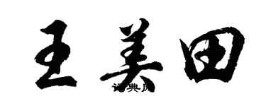 胡问遂王美田行书个性签名怎么写