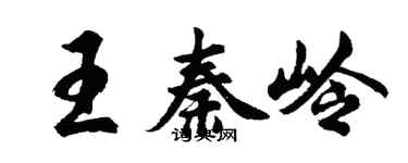 胡问遂王秦岭行书个性签名怎么写