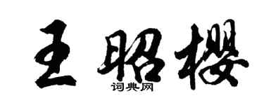 胡问遂王昭樱行书个性签名怎么写