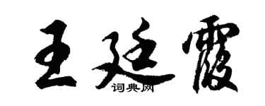 胡问遂王廷霞行书个性签名怎么写