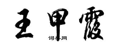 胡问遂王甲霞行书个性签名怎么写