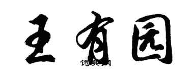 胡问遂王有园行书个性签名怎么写