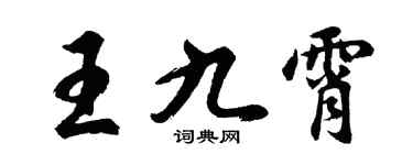 胡问遂王九霄行书个性签名怎么写
