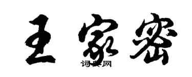 胡问遂王家密行书个性签名怎么写