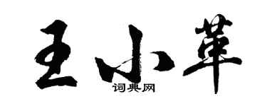 胡问遂王小革行书个性签名怎么写