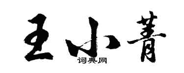 胡问遂王小菁行书个性签名怎么写