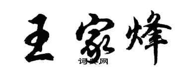 胡问遂王家烽行书个性签名怎么写