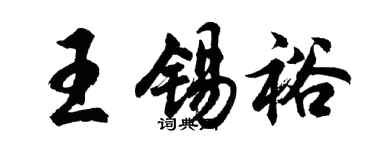 胡问遂王锡裕行书个性签名怎么写