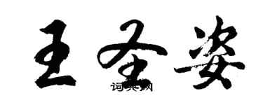 胡问遂王圣姿行书个性签名怎么写