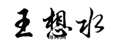 胡问遂王想水行书个性签名怎么写