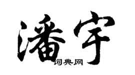 胡问遂潘宇行书个性签名怎么写