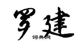 胡问遂罗建行书个性签名怎么写