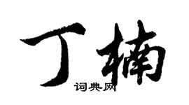 胡问遂丁楠行书个性签名怎么写