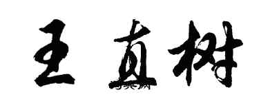 胡问遂王直树行书个性签名怎么写