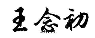 胡问遂王念初行书个性签名怎么写