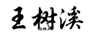 胡问遂王树溪行书个性签名怎么写