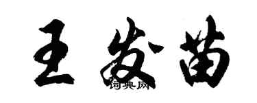 胡问遂王发苗行书个性签名怎么写