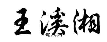 胡问遂王溪湘行书个性签名怎么写