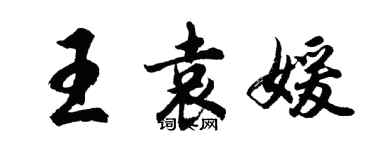 胡问遂王袁媛行书个性签名怎么写