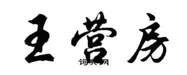 胡问遂王营房行书个性签名怎么写