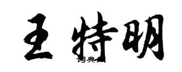 胡问遂王特明行书个性签名怎么写