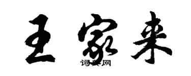 胡问遂王家来行书个性签名怎么写