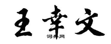 胡问遂王幸文行书个性签名怎么写