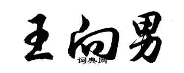 胡问遂王向男行书个性签名怎么写