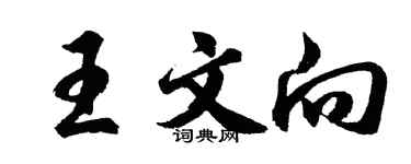 胡问遂王文向行书个性签名怎么写