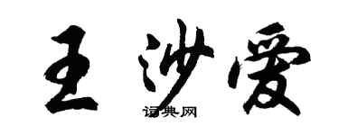 胡问遂王沙爱行书个性签名怎么写