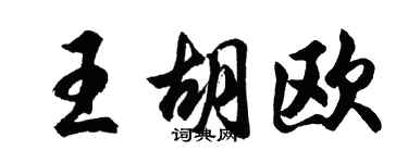 胡问遂王胡欧行书个性签名怎么写