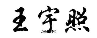 胡问遂王宇照行书个性签名怎么写