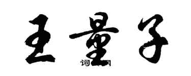 胡问遂王量子行书个性签名怎么写