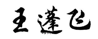 胡问遂王蓬飞行书个性签名怎么写