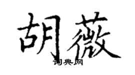 丁谦胡薇楷书个性签名怎么写