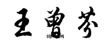 胡问遂王曾芬行书个性签名怎么写
