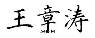 丁谦王章涛楷书个性签名怎么写