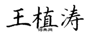 丁谦王植涛楷书个性签名怎么写