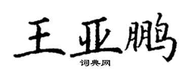 丁谦王亚鹏楷书个性签名怎么写