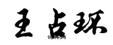 胡问遂王占环行书个性签名怎么写