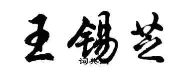 胡问遂王锡芝行书个性签名怎么写
