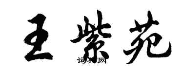 胡问遂王紫苑行书个性签名怎么写