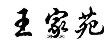 胡问遂王家苑行书个性签名怎么写