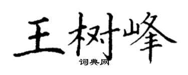 丁谦王树峰楷书个性签名怎么写