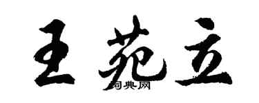 胡问遂王苑立行书个性签名怎么写