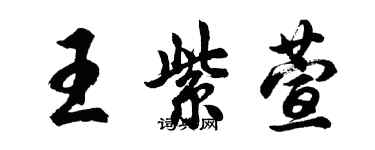 胡问遂王紫萱行书个性签名怎么写